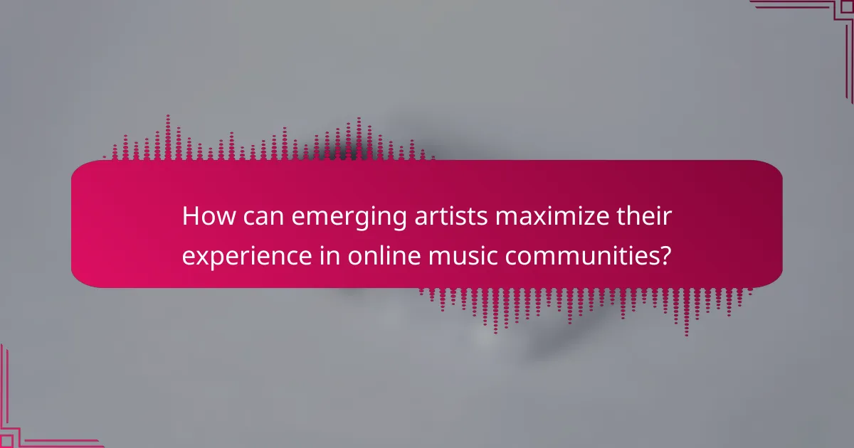 How can emerging artists maximize their experience in online music communities?