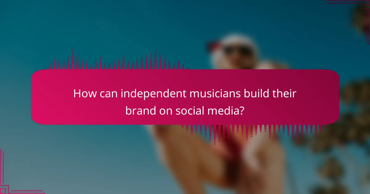 How can independent musicians build their brand on social media?