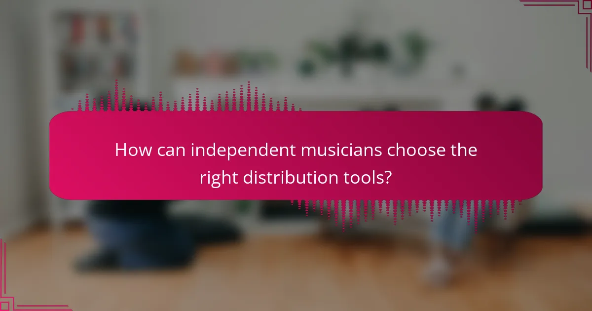 How can independent musicians choose the right distribution tools?