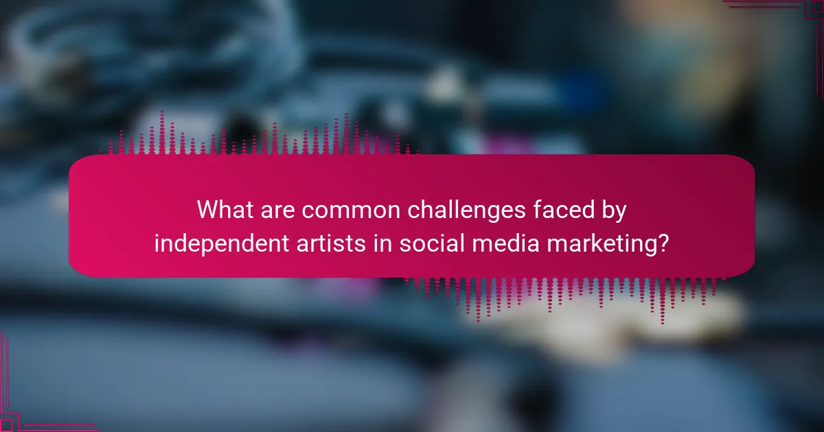What are common challenges faced by independent artists in social media marketing?