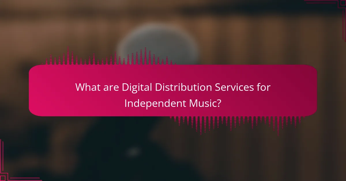 What are Digital Distribution Services for Independent Music?