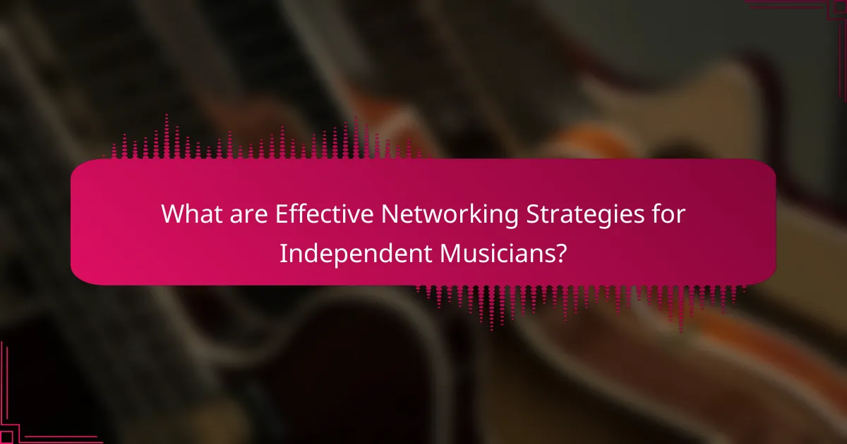 What are Effective Networking Strategies for Independent Musicians?