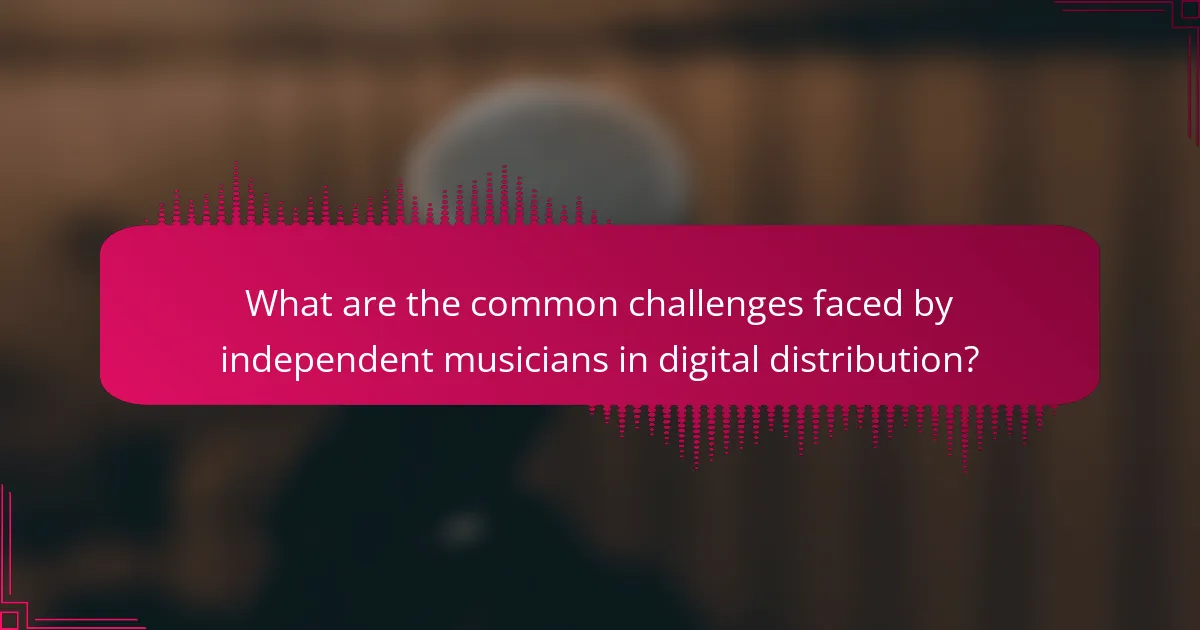 What are the common challenges faced by independent musicians in digital distribution?