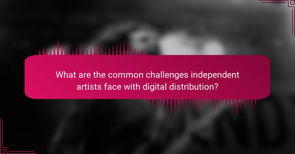 What are the common challenges independent artists face with digital distribution?