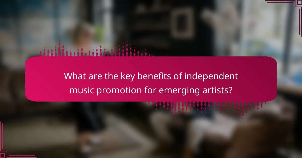 What are the key benefits of independent music promotion for emerging artists?