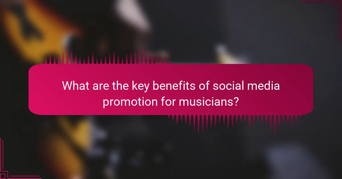 What are the key benefits of social media promotion for musicians?