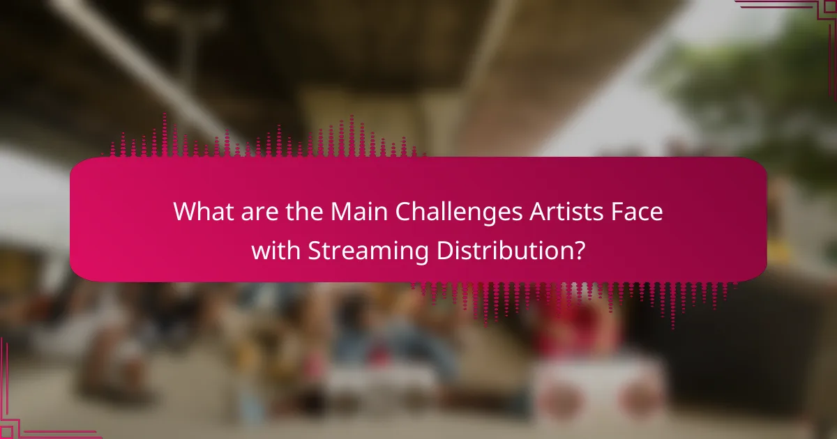 What are the Main Challenges Artists Face with Streaming Distribution?
