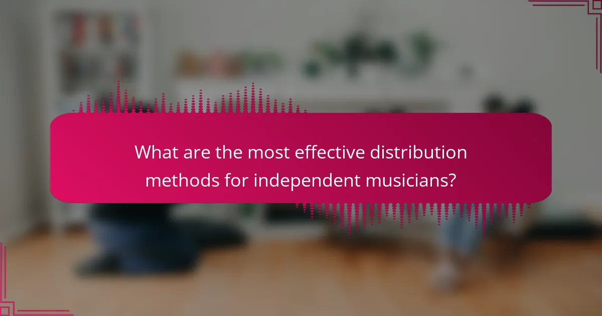 What are the most effective distribution methods for independent musicians?