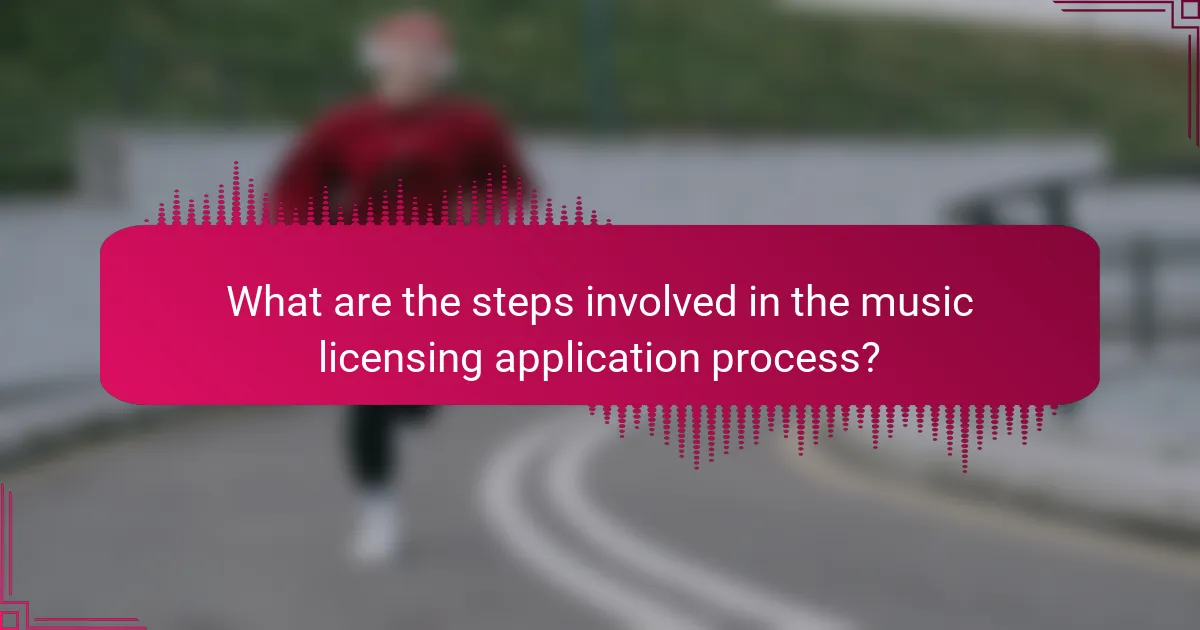 What are the steps involved in the music licensing application process?