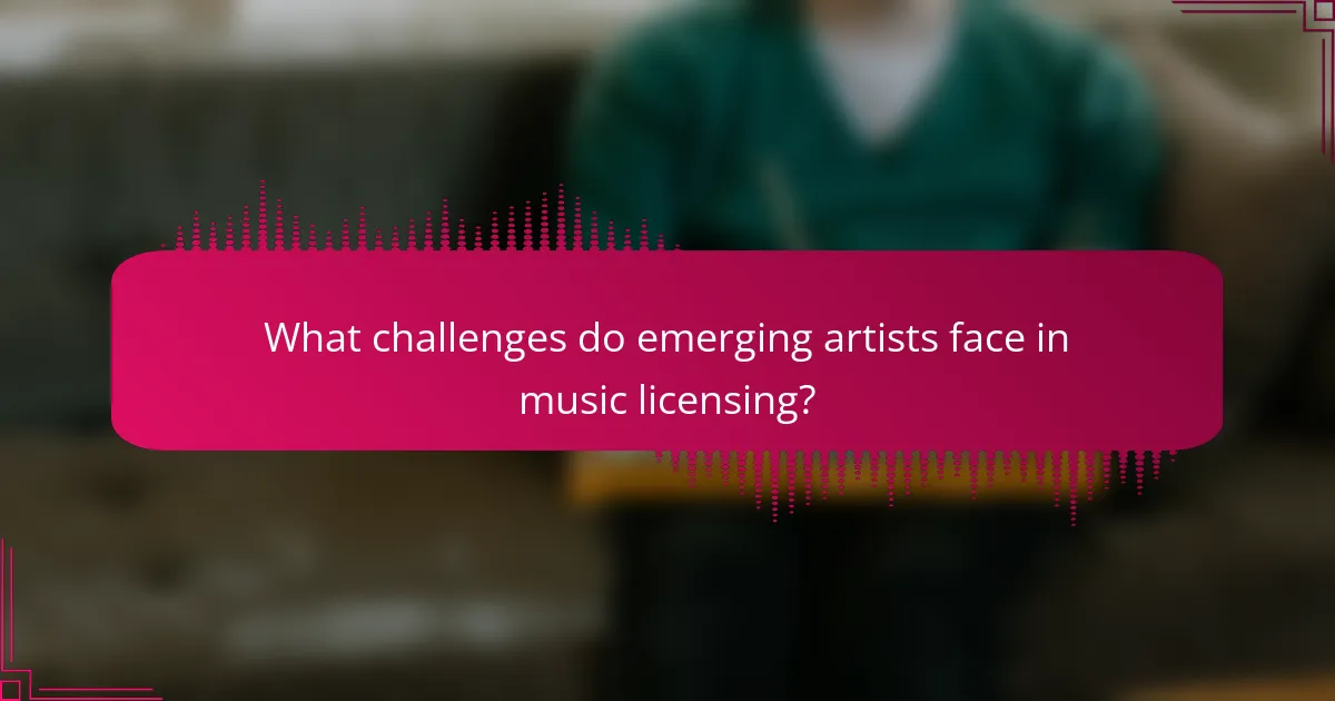 What challenges do emerging artists face in music licensing?