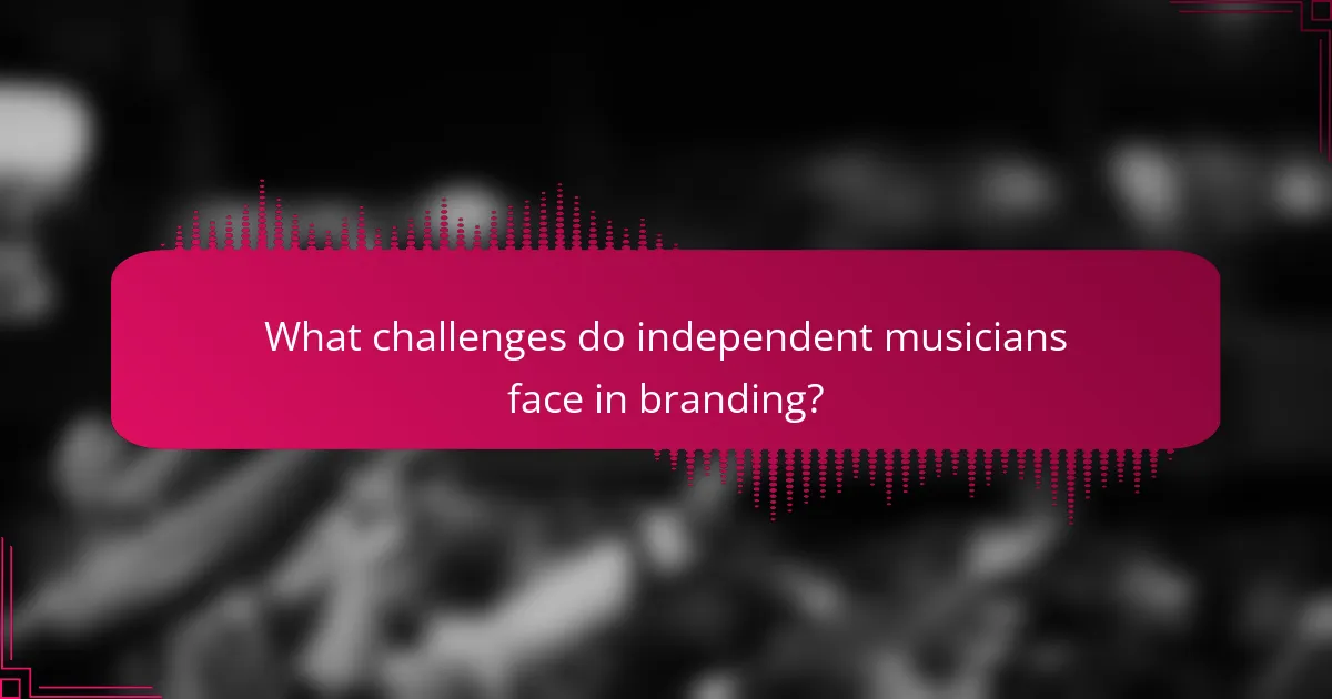 What challenges do independent musicians face in branding?