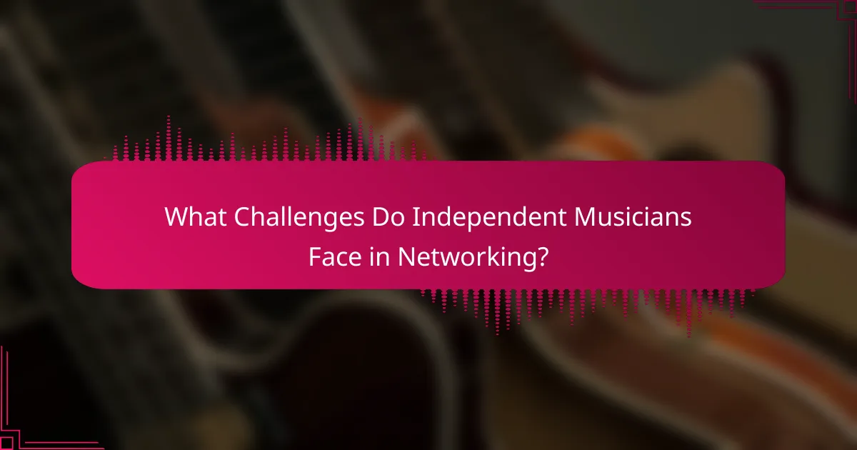 What Challenges Do Independent Musicians Face in Networking?