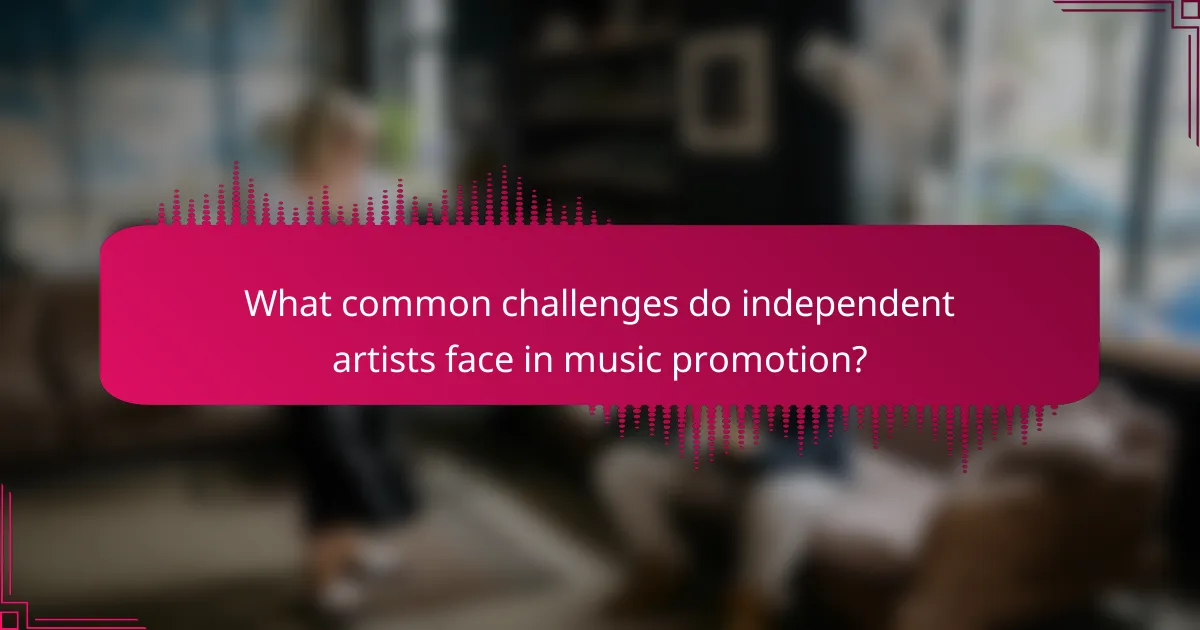 What common challenges do independent artists face in music promotion?