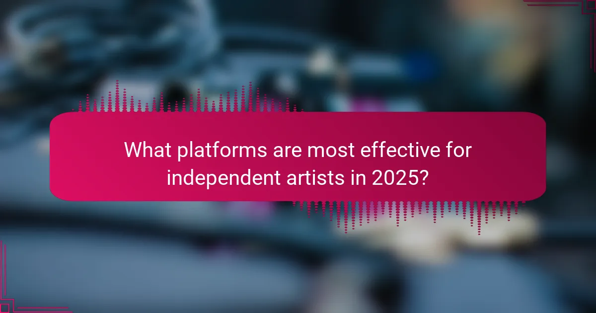 What platforms are most effective for independent artists in 2025?