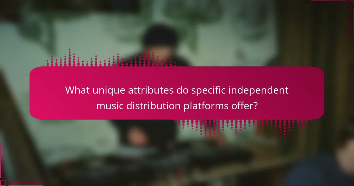 What unique attributes do specific independent music distribution platforms offer?