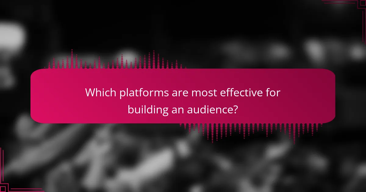 Which platforms are most effective for building an audience?