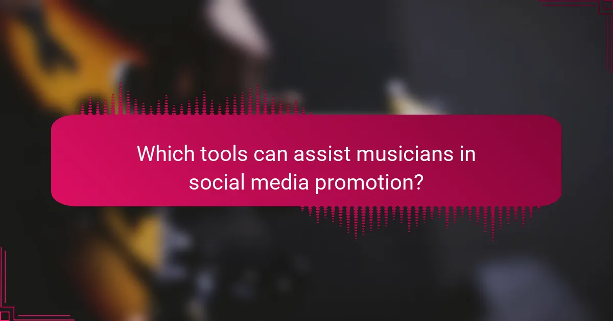Which tools can assist musicians in social media promotion?